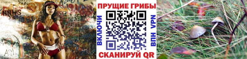 где купить наркоту  Керчь  Галлюциногенные грибы Psilocybine cubensis 